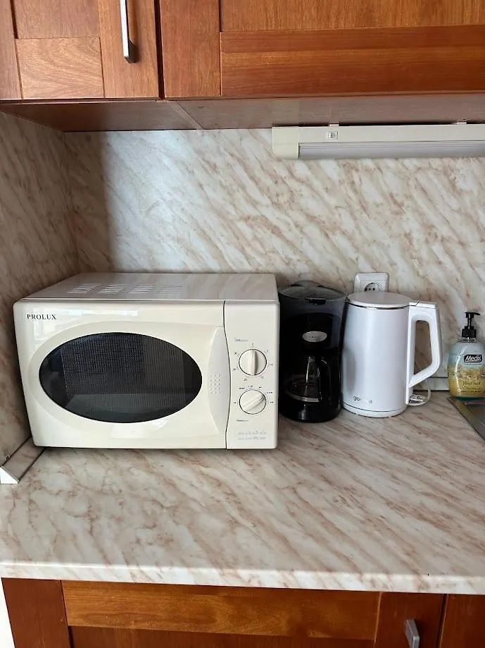 Cozy Mountain Apartment 班斯科